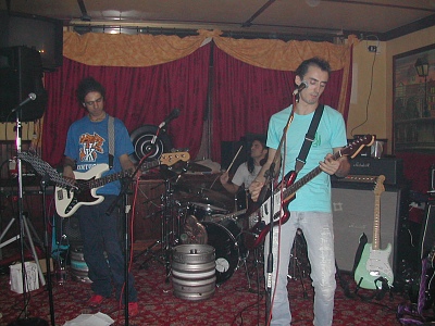 pongo03.jpg